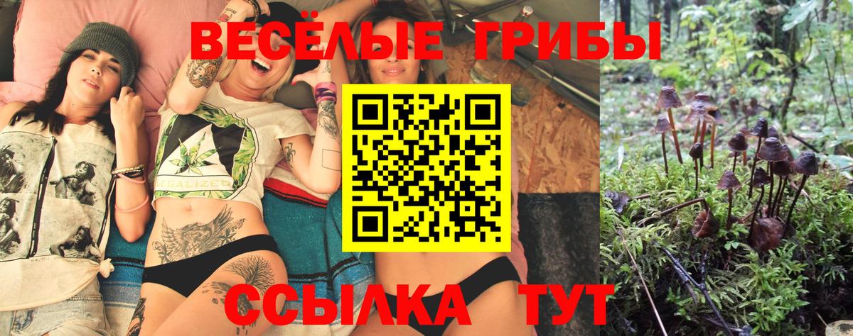 Галлюциногенные грибы прущие грибы Обнинск